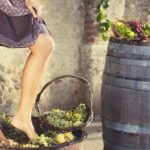 Private Grape stomping at Chianti Farmhouse - Who Will Enjoy This Tour?
