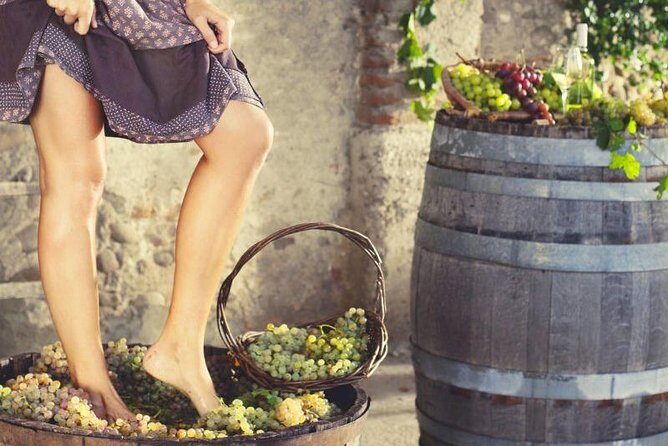 Private Grape stomping at Chianti Farmhouse - Who Will Enjoy This Tour?
