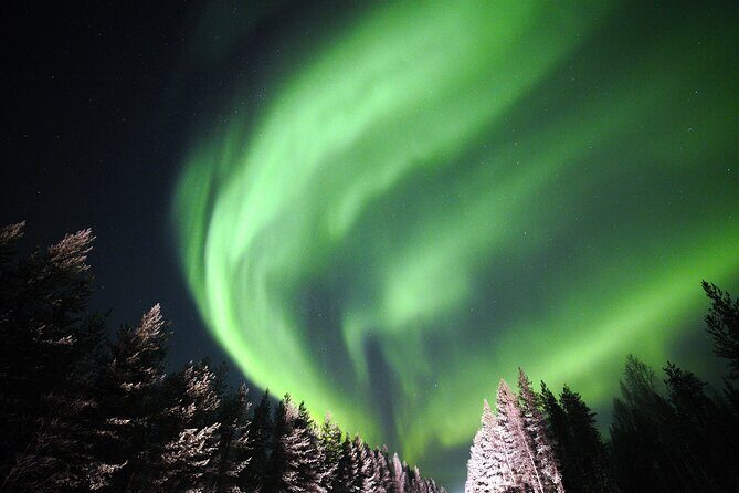 Private Group: Northern Lights Hunt 4x4 SUV with Aurora guarantee - The Sum Up