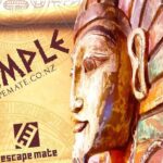 Private Group Puzzle-Solving Adventure Game: Temple - Final Thoughts
