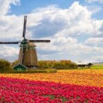 Private Group Zaanse Schans Half-Day Tour from Amsterdam - Key Points