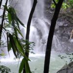 Private Guided Adventure in Nadi with Pick-up - Exploring Nadi’s Hidden Treasures: A Deep Dive into the Private Guided Tour
