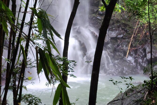 Private Guided Adventure in Nadi with Pick-up - Exploring Nadi’s Hidden Treasures: A Deep Dive into the Private Guided Tour