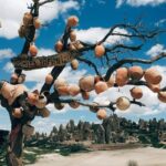Private Guided Cappadocia Tour - FAQ