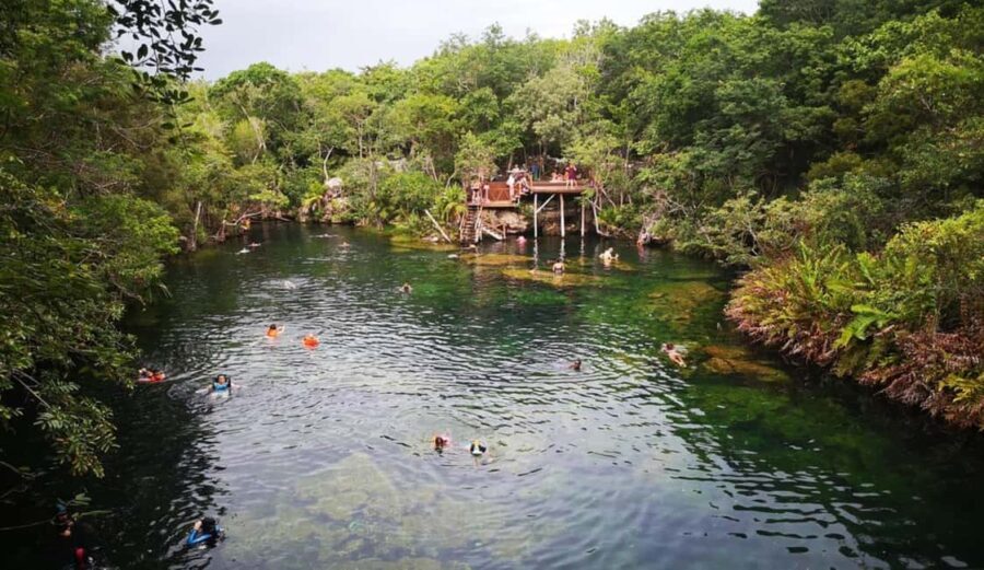 Private Guided Cave & Open Cenote Swim with Lunch - An In-Depth Look at the Private Cave & Cenote Tour