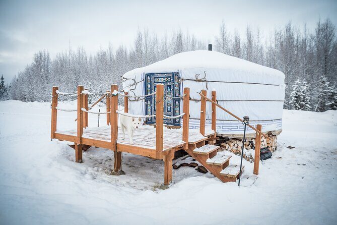 Private Guided Dog Sledding on the Historic Yukon Quest Trail - Who Should Consider This Tour?