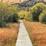 Private Guided Encounter Glenorchy Tour - Exploring Glenorchy: The Heart of the Tour