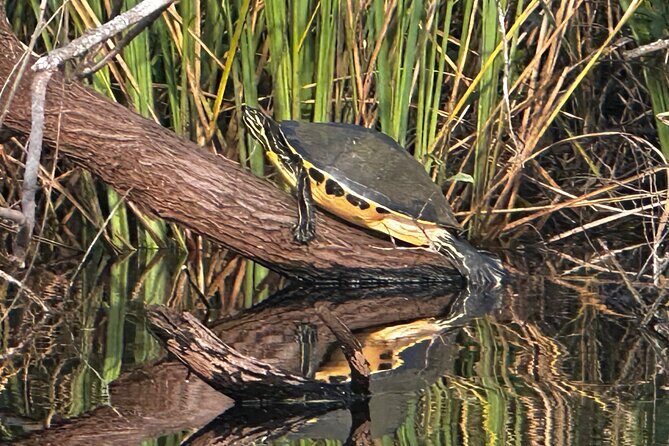 Private Guided Everglades Kayak Tour - FAQ