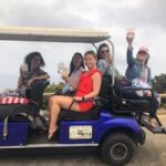 Private Guided Golf Cart Tour of Avalon - FAQ