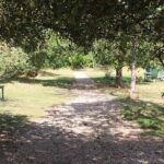 Private Guided Grantchester 2-Hour Tour of TV Locations - A Deep Dive into Grantchester’s Series and Scenery