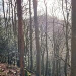 Private Guided Hike: King Arthur's Wye Valley Wander - Who Should Consider This Walk?