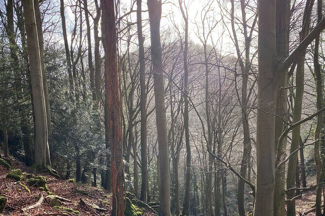 Private Guided Hike: King Arthur's Wye Valley Wander - Who Should Consider This Walk?