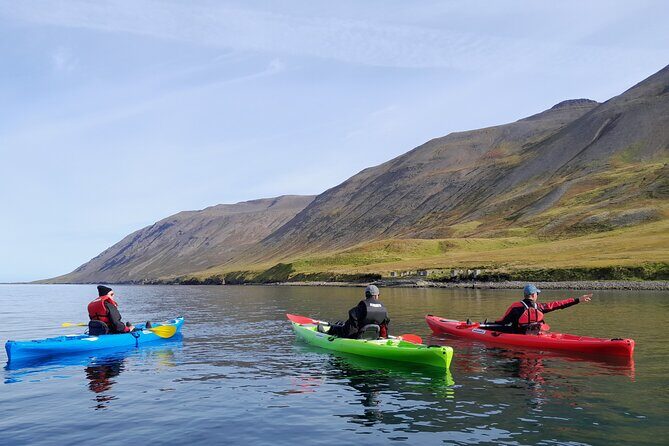 Private: Guided kayak tour in Siglufjörður / Siglufjordur. - What to Expect During Your Kayaking Adventure