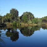 Private Guided Kiwi Encounter in Nga Manu Reserve - Who Should Consider This Experience?