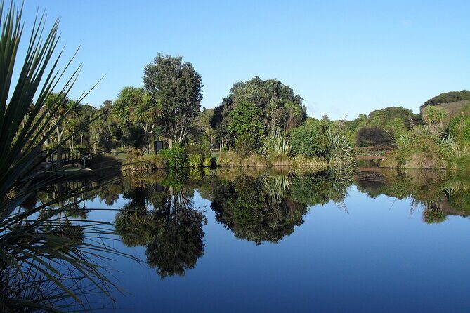 Private Guided Kiwi Encounter in Nga Manu Reserve - Who Should Consider This Experience?