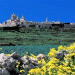 Private guided Malta shore excursion with a professional guide and transport - An In-Depth Look at Your Malta Shore Experience