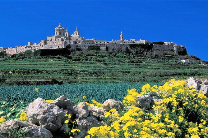 Private guided Malta shore excursion with a professional guide and transport