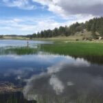 Private Guided Mountain Bike Lesson in San Diego Mountains - The Value of This Experience