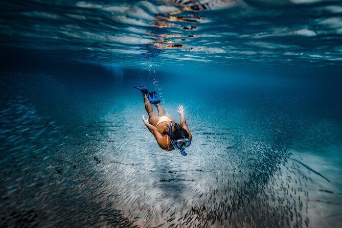 Private Guided Snorkeling in Cabo San Lucas - Final Thoughts