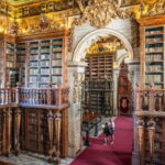 Private Guided Tour: Coimbra Best Of - Detailed Review of the Coimbra Best Of Tour