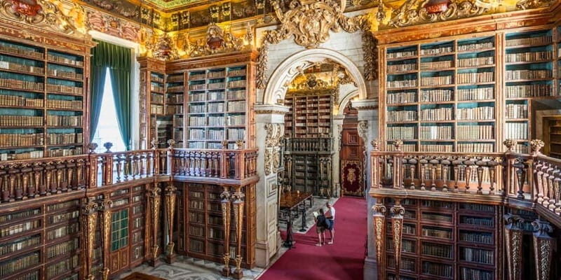 Private Guided Tour: Coimbra Best Of - Detailed Review of the Coimbra Best Of Tour