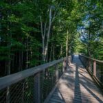 Private Guided Tour from Vienna to Hallstatt with Cable Car & Treetop in Gmunden - Frequently Asked Questions