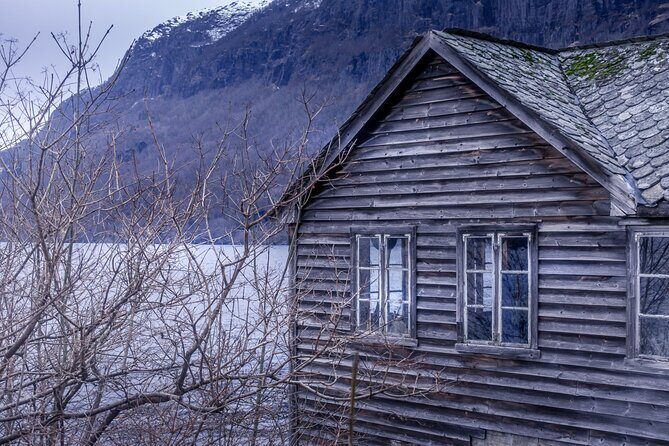 Private Guided Tour in Fjords & Waterfalls of Hardanger Norway - Who Is This Tour Best For?