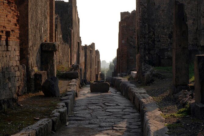 Private Guided Tour in Pompeii - FAQs