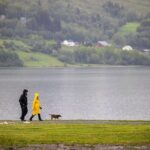 PRIVATE GUIDED TOUR: Norway's Highlights  Viking Special, 11-12 hours  SUMMER - Who is This Tour Best For?