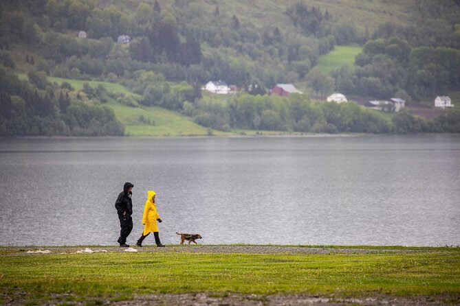 PRIVATE GUIDED TOUR: Norway's Highlights  Viking Special, 11-12 hours  SUMMER - Who is This Tour Best For?