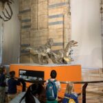 Private Guided Tour of Natural History Museum - Skip the Line - Why This Tour Offers Great Value