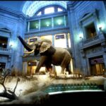 Private Guided Tour of The Natural History Museum - The Value of a Private Guided Tour
