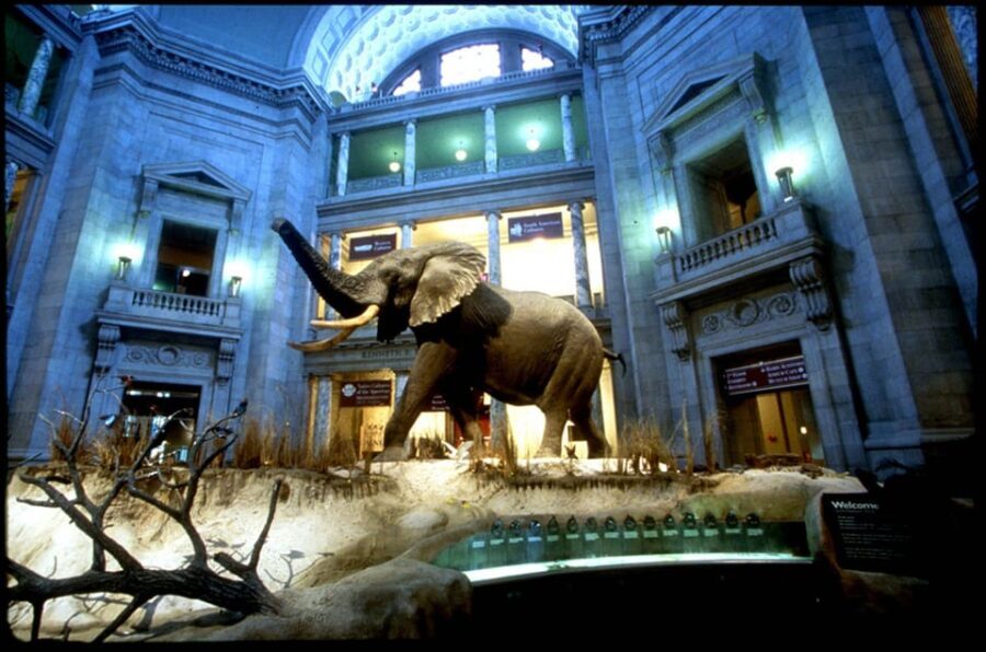 Private Guided Tour of The Natural History Museum - The Value of a Private Guided Tour