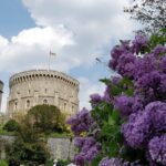 Private Guided Tour of Windsor Castle PLUS and History - Runnymede and the Magna Carta
