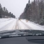 Private Guided Tour Rovaniemi To Kakslauttanen /Saariselka - Discovering Lapland: A Full Breakdown of the Tour