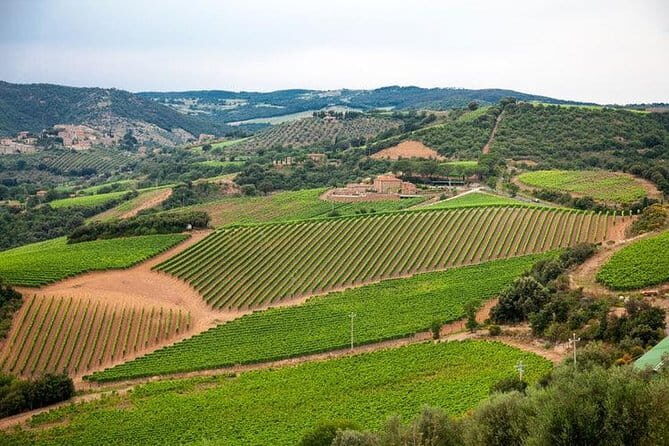 Private guided tour: Siena San Gimignano and Chianti - San Gimignano: The Medieval Skyline