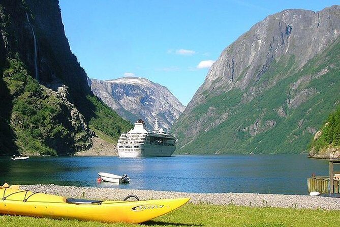 Private guided tour to Oslo - Nærøyfjord Cruise & Flåm Railway - What makes this tour especially valuable?