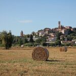Private Guided Walking Tour in Santarcangelo Slow City - Key Points