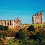 Private Half-day Coastal Tour from Newcastle to Veras World - Why This Tour Delivers Real Value