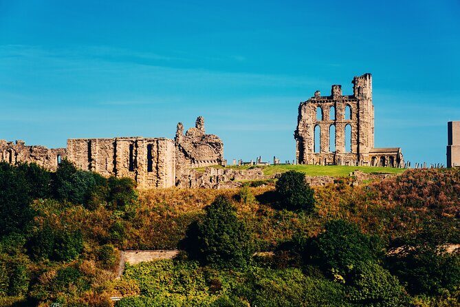 Private Half-day Coastal Tour from Newcastle to Veras World - Why This Tour Delivers Real Value