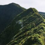 Private Half-Day Hike around the Caldeira - Who Will Love This Tour?