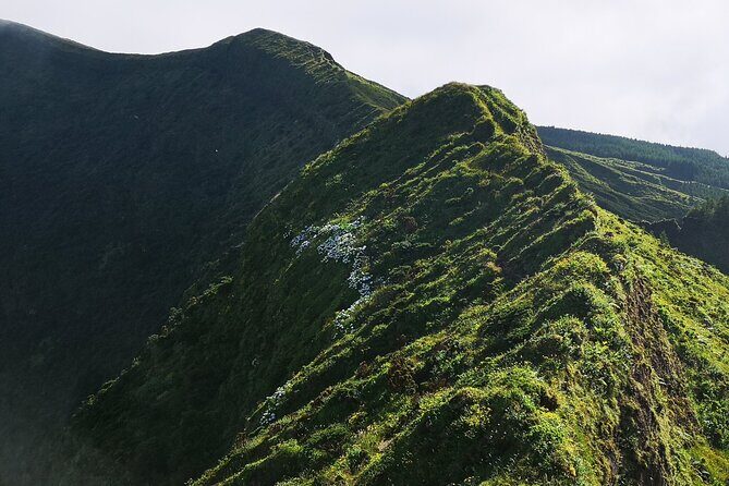 Private Half-Day Hike around the Caldeira - Who Will Love This Tour?