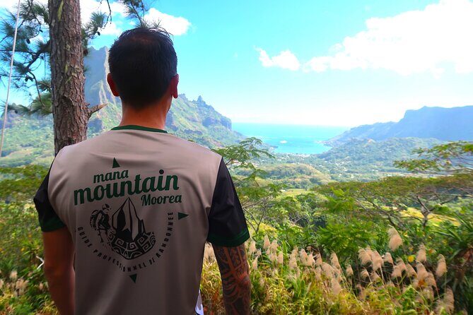 Private Half-Day Hike in the Opunohu Valley in Moorea - Who Should Consider This Tour?