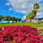 Private Half-Day Morning 4x4 Tour from Funchal - Why This Tour Works for You