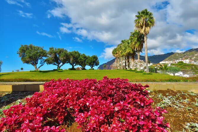 Private Half-Day Morning 4x4 Tour from Funchal - Why This Tour Works for You