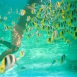 Private Half Day Sailing Excursion on the Lagoon of Tahiti - Why This Tour Stands Out