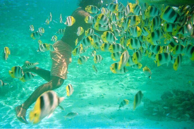 Private Half Day Sailing Excursion on the Lagoon of Tahiti - Why This Tour Stands Out