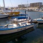 Private Half-Day Sport Fishing in Los Cabos - Detailed Review of the Private Half-Day Sport Fishing Tour