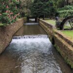 Private Half-Day Tour in Furnas São Miguel Island - Who Would Love This Tour?