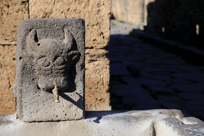 Private Half-Day Tour of The Pompeii Ruins Highlights and Mann - Who Will Love This Tour